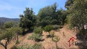 Vente Terrain Collobrieres 1557 m2