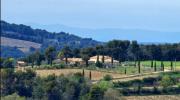 Vente Maison Vaison-la-romaine 8 pieces 250 m2