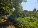 Vente Terrain Tholy  16790 m2