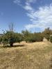 Vente Terrain Castres  1095 m2