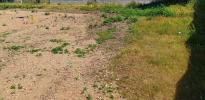 Vente Terrain Labarde  550 m2