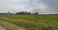 Vente Terrain Eringhem  560 m2