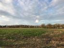 Vente Terrain Authie  474 m2