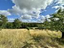 Vente Terrain Vigoulet-auzil  1614 m2