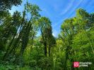 Vente Maison Queige  10 pieces 293 m2