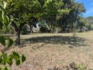 Vente Terrain Sardan  681 m2