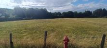 Vente Terrain Luxeuil-les-bains  6704 m2