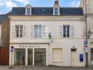 Vente Immeuble Chatillon-sur-indre  8 pieces 238 m2