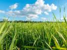Vente Terrain Montaigut-sur-save  446 m2