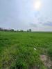 Vente Terrain Eringhem  776 m2