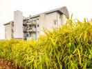 Location Appartement Torcy  3 pieces 70 m2