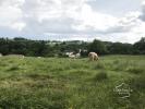 Vente Terrain Bagnac-sur-cele  23408 m2