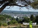 Vente Terrain Brive-la-gaillarde  1005 m2