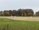 Vente Prestige Saumur 8 pieces 235 m2