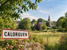 Vente Terrain Calorguen  553 m2