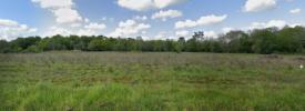 Vente Terrain Lignan-de-bordeaux  1001 m2