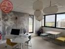 Location Bureau Toulouse  323 m2