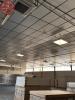 Location Commerce Muret  3 pieces 1100 m2