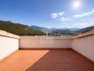 Vente Appartement Oletta  2 pieces 37 m2