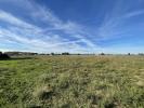 Vente Terrain Cailar  444 m2