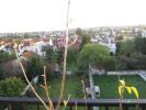 Vente Appartement Neuilly-plaisance  4 pieces 84 m2