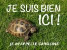 Vente Maison Calais  5 pieces 115 m2