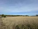 Vente Terrain Nespouls  24142 m2
