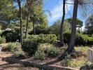 Vente Terrain Ollioules  800 m2