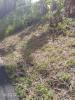 Vente Terrain Francois  689 m2