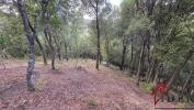Vente Terrain Alata  1500 m2