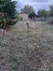 Vente Maison Albi  4 pieces 65 m2