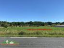 Vente Terrain Villeneuve-de-riviere  9100 m2
