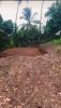 Vente Terrain Trinite  794 m2