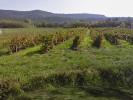 Vente Terrain Ruoms  2100 m2
