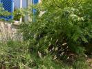 Vente Maison Vannes  3 pieces 80 m2
