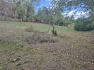Vente Terrain Fronsac  714 m2