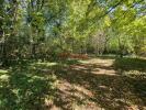 Vente Terrain Arcis-sur-aube  1555 m2