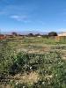 Vente Maison Jonquieres  80 m2