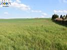 Vente Terrain Seicheprey  20189 m2