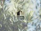 Vente Terrain Fontanes  700 m2