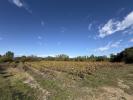 Vente Terrain Parignargues  202 m2