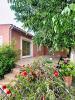 Vente Maison Sorgues  4 pieces 118 m2