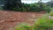 Vente Terrain Lamentin  776 m2