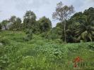 Vente Terrain Abymes  819 m2