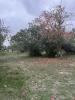Vente Terrain Noe  590 m2