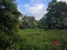 Vente Terrain Baie-mahault  606 m2