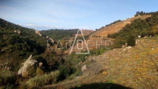 Vente Terrain COLLIOURE 66190