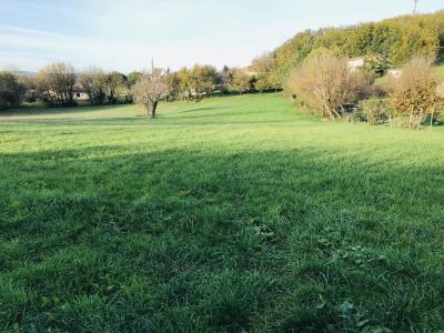 Vente Terrain TERRASSON-LAVILLEDIEU 24120