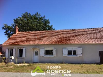 Vente Maison 56 pices SANCOINS 18600