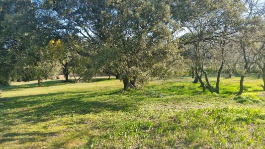 Vente Terrain UZES 30700